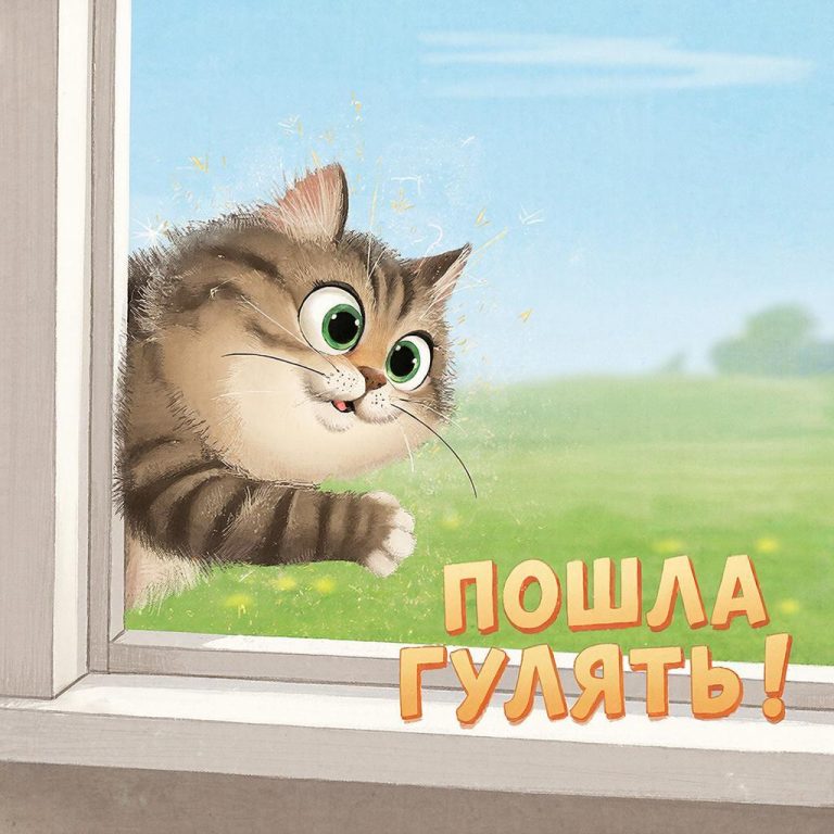 10 мифов про самовыгул домашней кошки