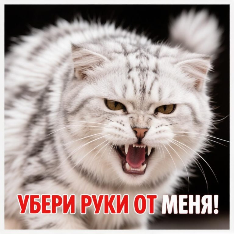 Самые злые и агрессивные кошки среди домашних пород