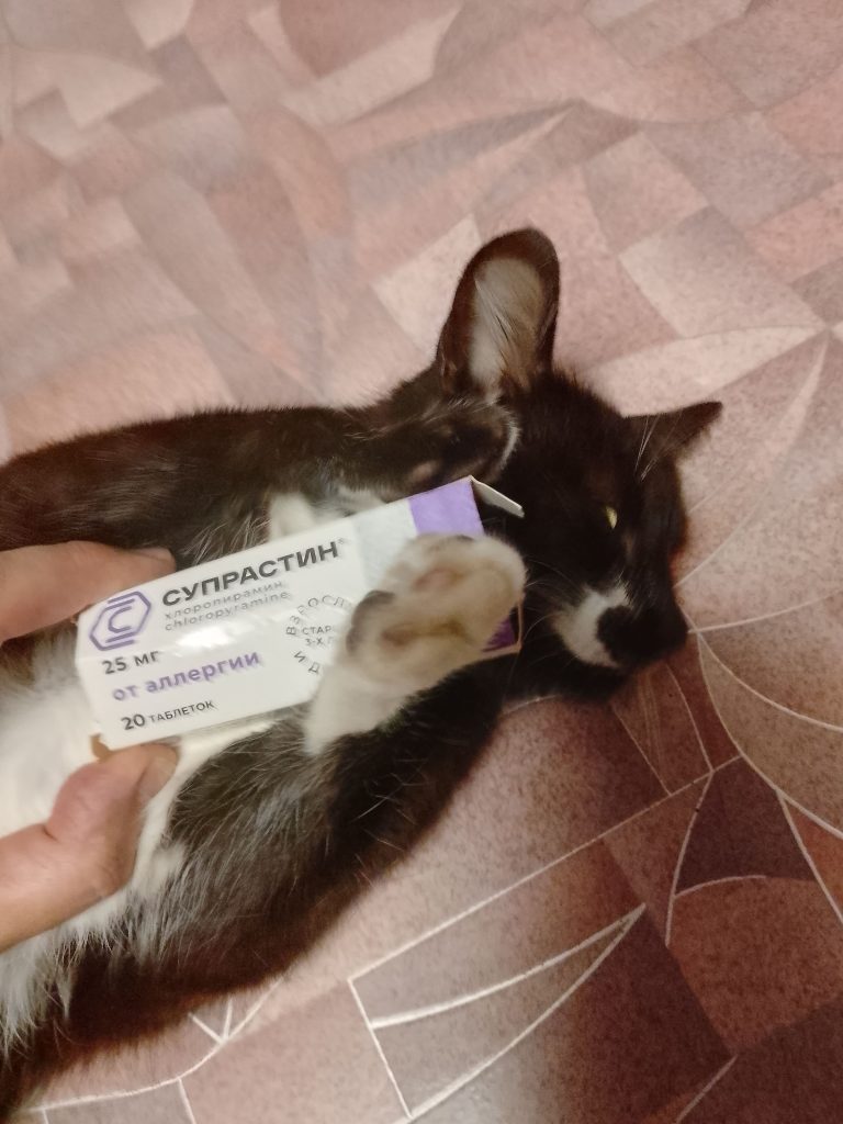 можно ли домашним кошкам дать супрастин