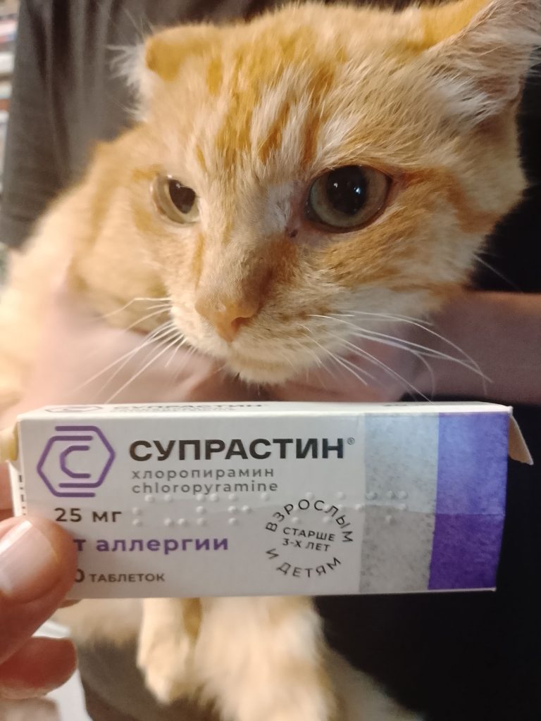 Можно ли кошке дать супрастин от аллергии или нет?
