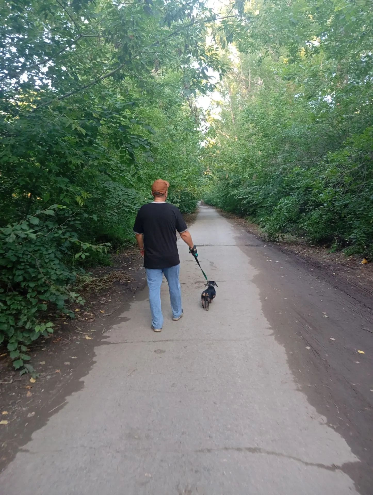 собаке всегда нужен хозяин