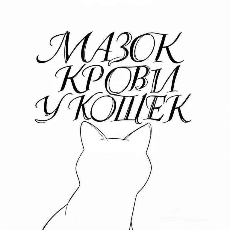 mazok-krovi-u-koshek