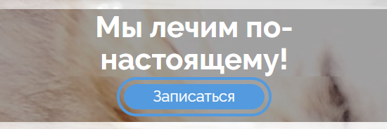 Реклама ветцентра Базылевского: «Мы лечим по-настоящему! Записаться»