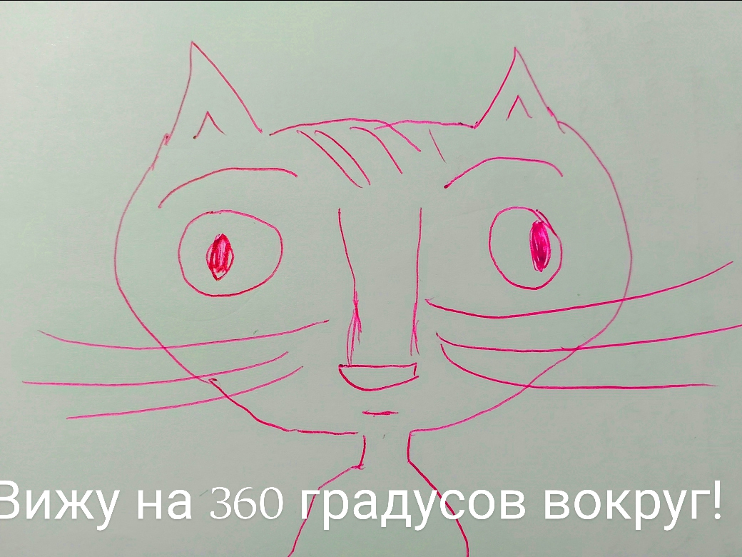 Косоглазие у кошек